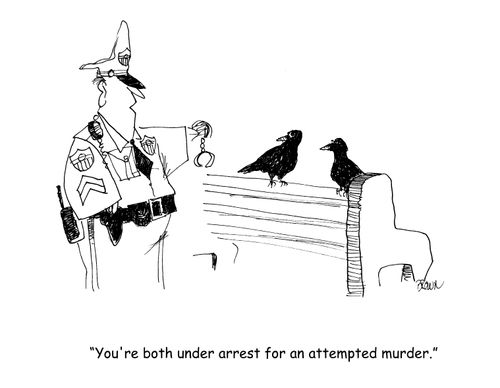 "You're under arrest for an attempted murder."