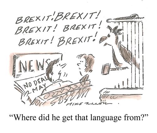 "Where did he get that language from?"