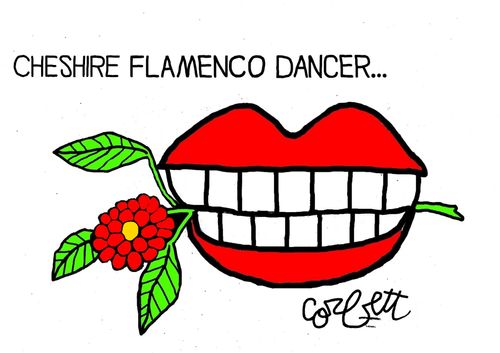 Cheshire Flamenco Dancer... Lipsticked grin clutching flower in her teeth.