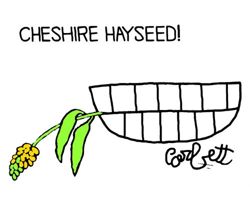 Cheshire Hayseed!  