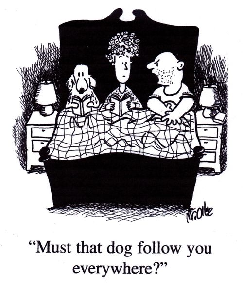"Must that dog follow you everywhere?"