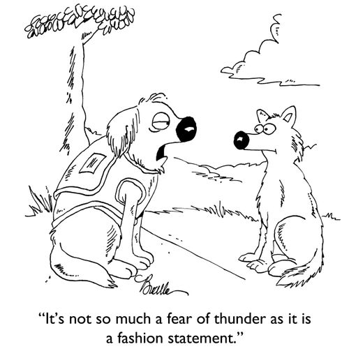 "It's not so much a fear of thunder as it is a fashion statement."