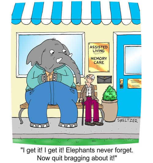 "I get it! I get it! Elephants never forget. Now quit bragging about it!"
