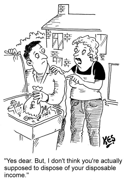 "Yes dear. But, I don't think you're actually supposed to dispose of your disposable income." 