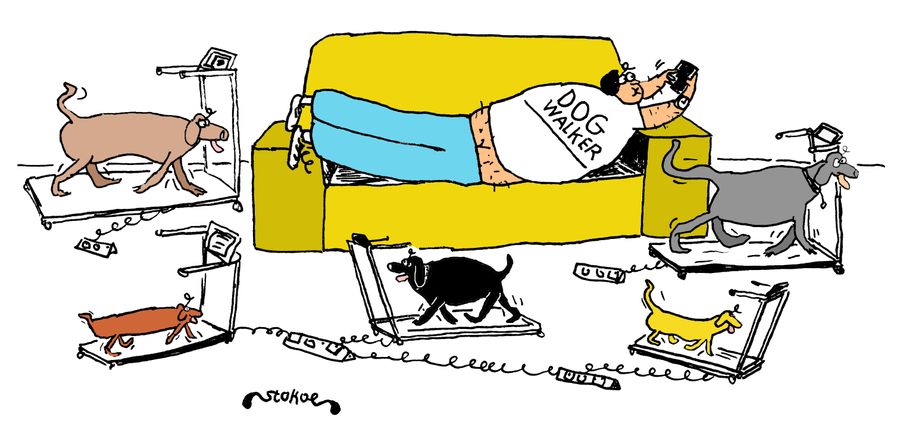 Dog Walker