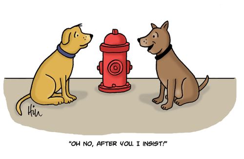 "Oh no, after you. I insist!"