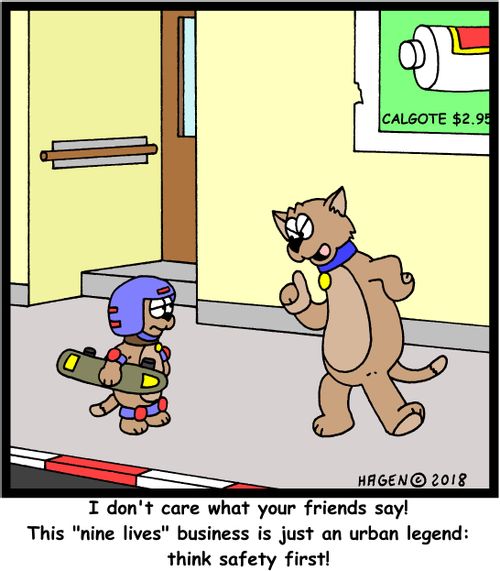 "I don't care what your friends say! This "nine lives" business is just an urban legend: think safety first!"