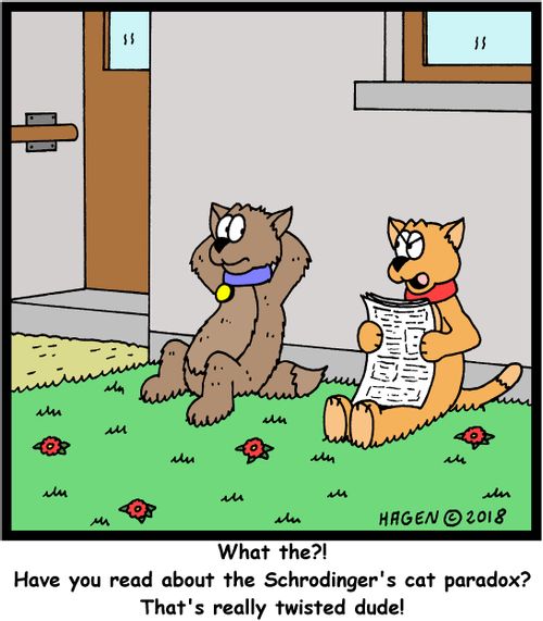 "What the?! Have you read about the Schrodinger's cat paradox? That's really twisted dude!"