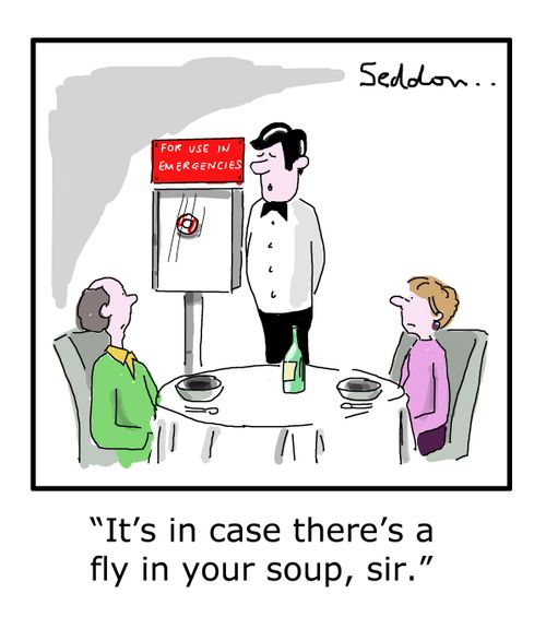 "It's in case there's a fly in your soup, sir."