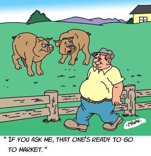"If you ask me, that one's ready to go to market."