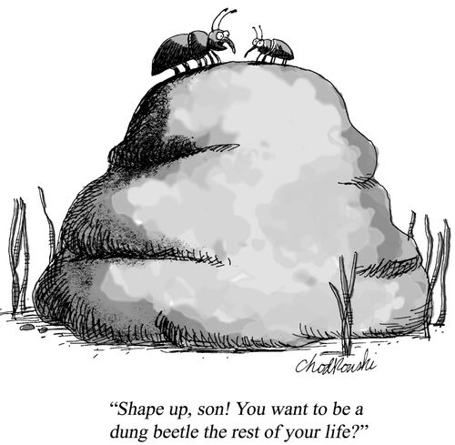 "Shape up, son! You want to be a dung beetle the rest of your life?"