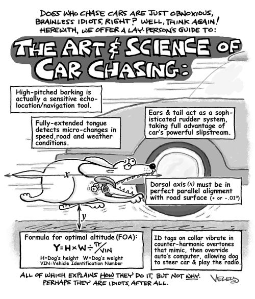 The Art and Science of Car Chasing