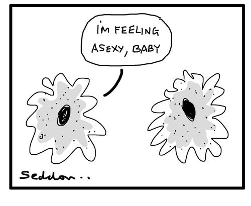 "I'm feeling asexy, baby!"