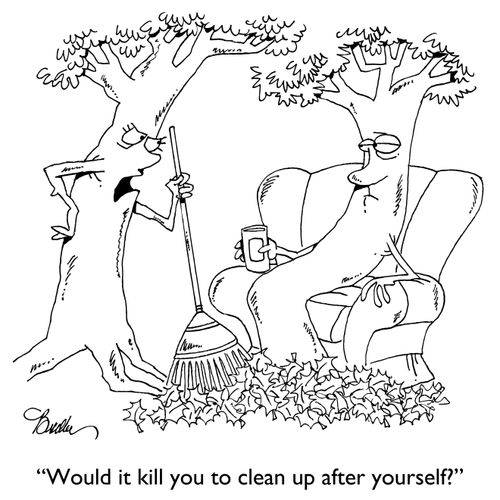 "Would it kill you to clean up after yourself?"