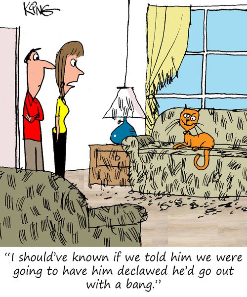 "I should've known if we told him we were going to have him declawed he'd go out with a bang."