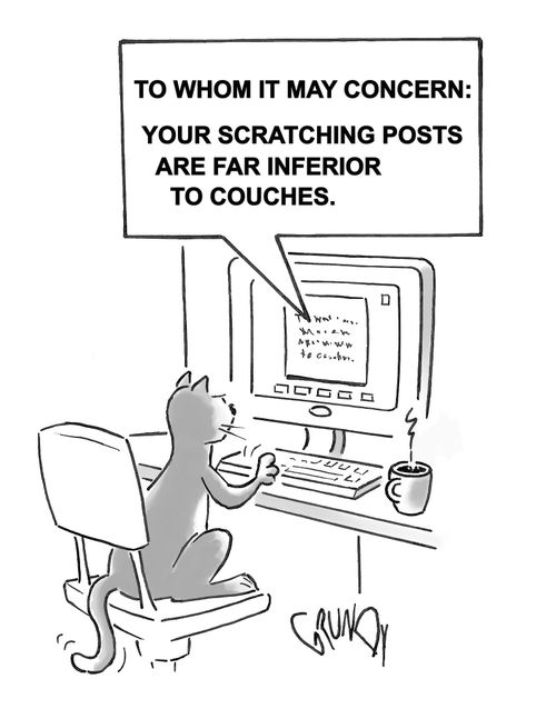 To Whom It May Concern: Your scratching posts are far inferior to couches.