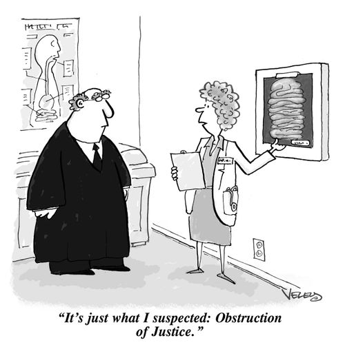 "It's just what I suspected: Obstruction of Justice."