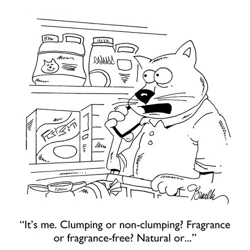 "It's me. Clumping or non-clumping? Fragrance or fragrance-free? Natural or..."