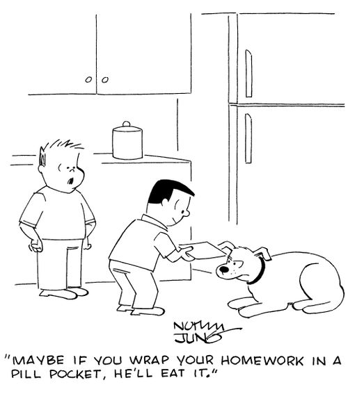 "Maybe if you wrap your homework in a pill pocket, he'll eat it."