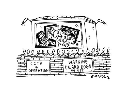 CCTV in Operation: Warning Guard Dogs In Use