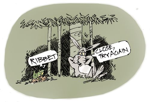 The Rabbit and the Frog