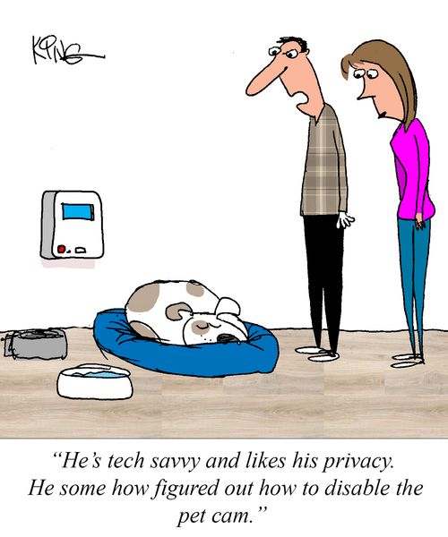 "He's tech savvy and likes his privacy. He some how figured out how to disable the pet cam."