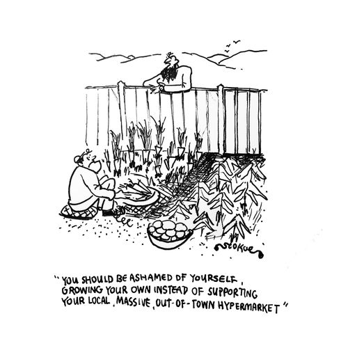 "You should be ashamed of yourself. Growing your own instead of supporting your local, massive, out-of-town hypermarket."