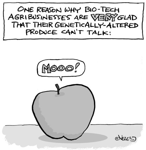 One reason why bio-tech agribusiness are very glas that their genetically-altered produce can't talk: "Moooo!"