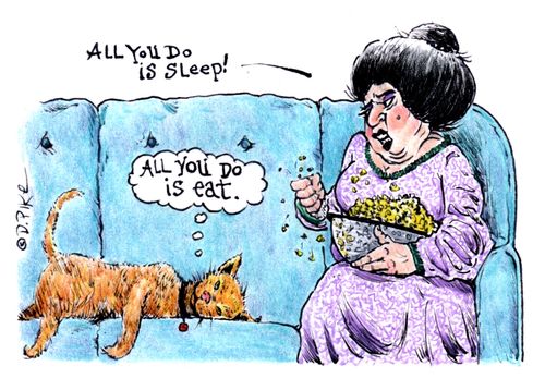 "All you do is sleep!"
