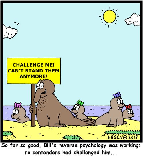 "So far so good, Bill's reverse psychology was working: no contenders had challenged him..."