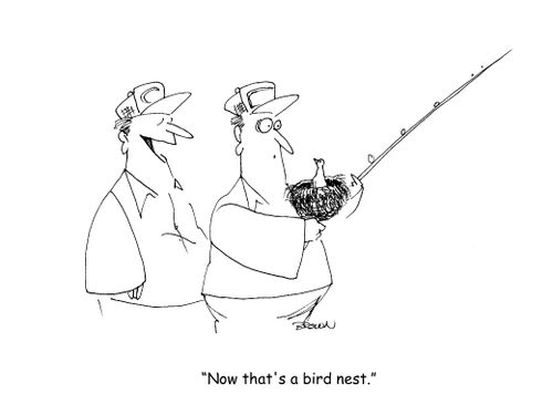 "Now that's a bird nest." 