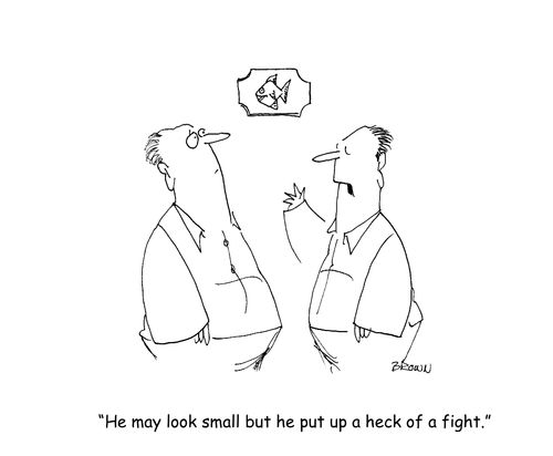 "He may be small but he put up a heck of a fight."
