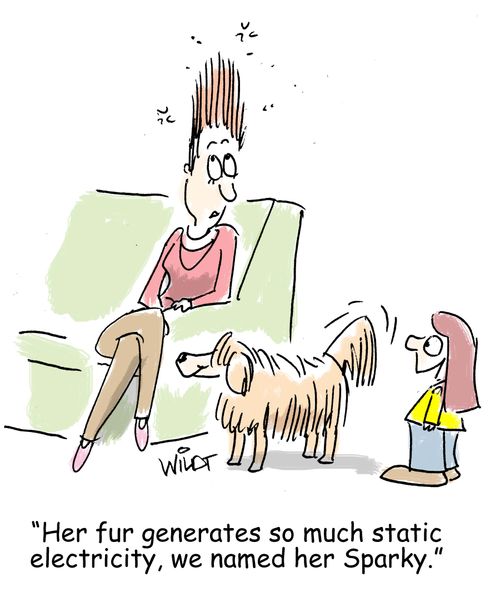 "Her fur generates so much static electricity, we named her Sparky."