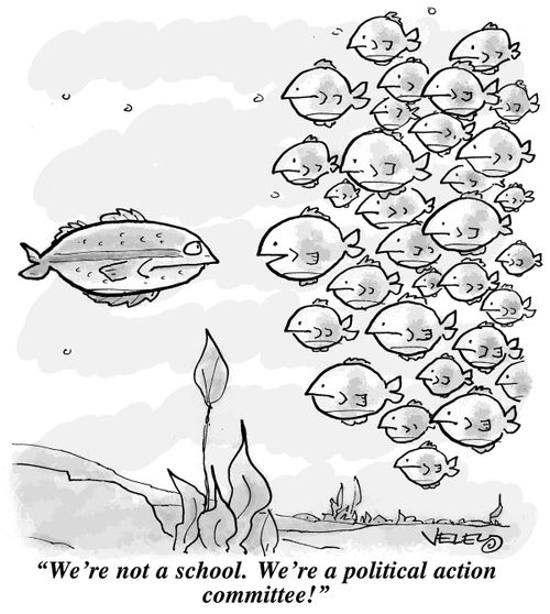 "We're not a school. We're a political action committee!"