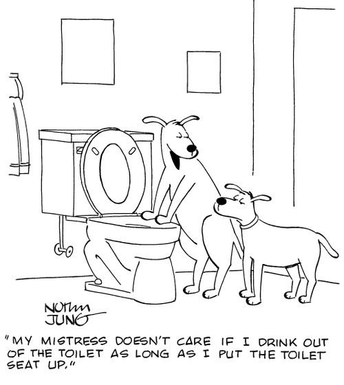 "My mistress doesn't care if I drink out of the toilet as long as I put the toilet seat up."
