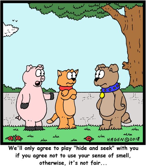 "We'll only agree to play "hide and seek" with you if you agree not to use your sense of smell, otherwise, it's not fair..."