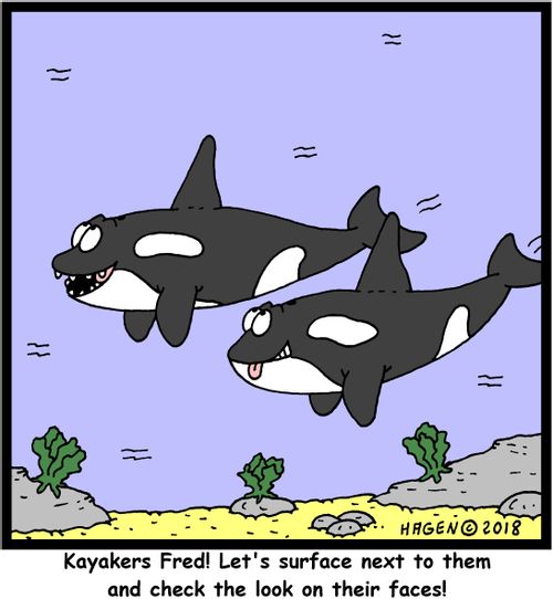 "Kayakers Fred! Let's surface next to them and check the look on their faces!"