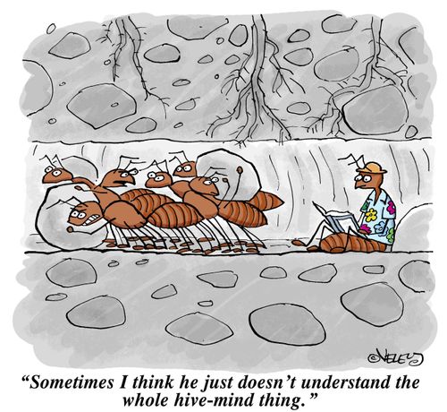 "Sometimes I think he just doesn't understand the whole hive-mind thing."