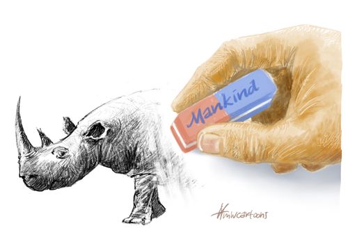 40% of wildlife gone since 1970