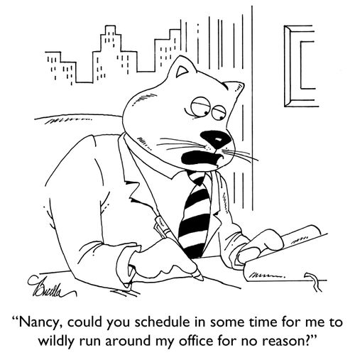 "Nancy, could you schedule in some time for me to wildly run around my office for no reason?"