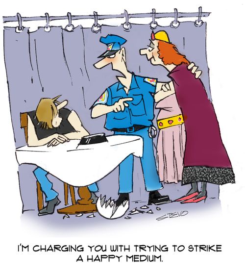 "I'm charging you with trying to strike a happy medium."