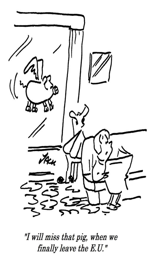 "I will miss that pig, when we finally leave the E.U."