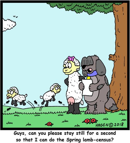 "Guys, can you please stay still for a second so that I can do the Spring lamb-census?"