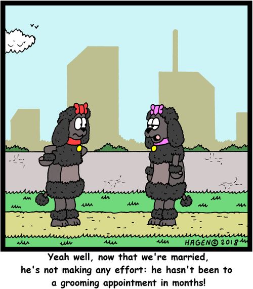 "Yeah well, now that we're married, he's not making any effort: he hasn't been to a grooming appointment in months!"