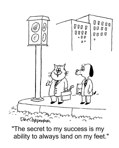 "The secret to my success is my ability to always land on my feet."