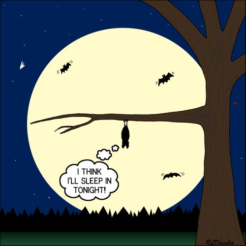"I think I'll sleep in tonight!"