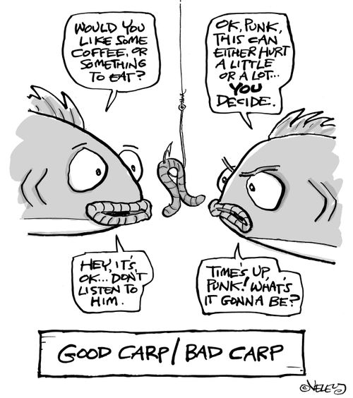Good carp/Bad carp