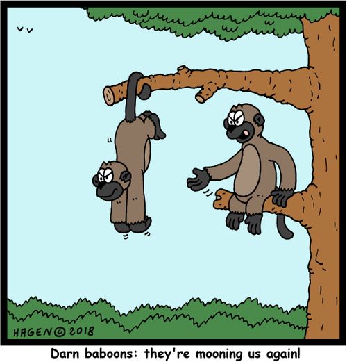 Darn baboons: they're mooning us again!