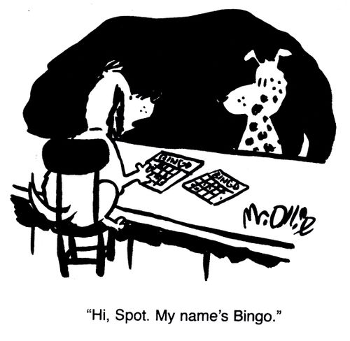 "Hi, Spot. My name's Bingo."