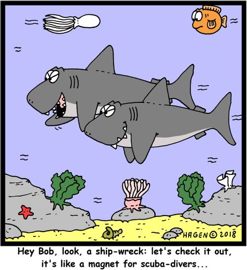 "Hey Bob, look, a ship-wreck: let's check it out, it's like a magnet for scuba-divers..."